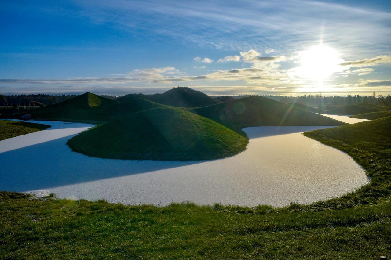 Japoniskas Sodas Medomiskiai Buitenkant foto